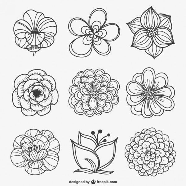 free vector images downloads